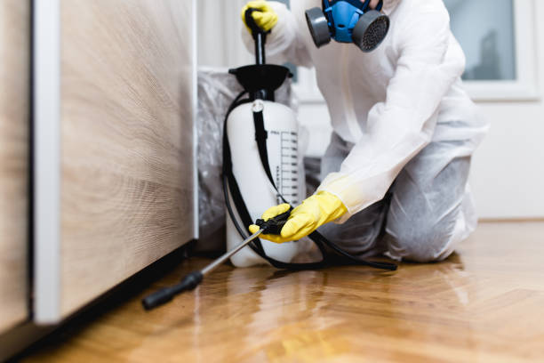 Best Affordable Pest Control Services  in Hampton, GA
