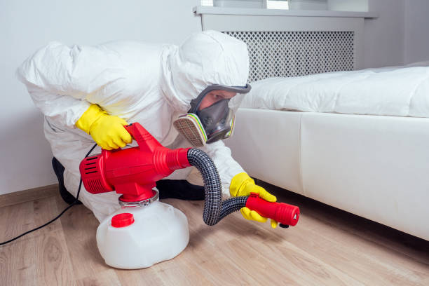 Best Best Pest Control Companies  in Hampton, GA
