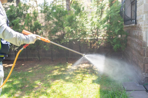 Best Emergency Pest Control  in Hampton, GA