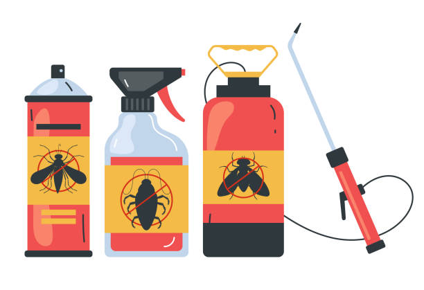 Best Ant Control Services  in Hampton, GA