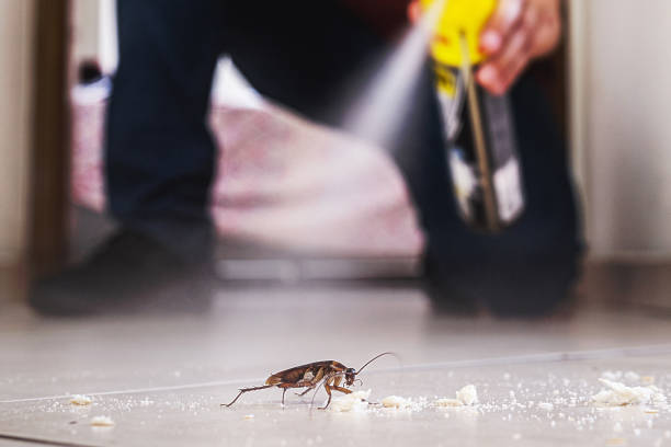 Best Pest Removal Services  in Hampton, GA