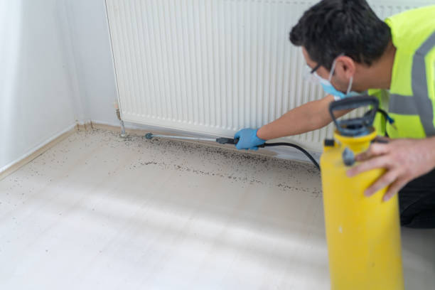 Pest Prevention Services in Hampton, GA
